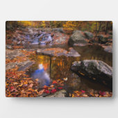 Plaque Photo Upper Whiteoak Falls, Parc national de Shenandoah, (Devant)