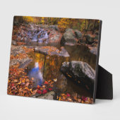 Plaque Photo Upper Whiteoak Falls, Parc national de Shenandoah, (Côté)