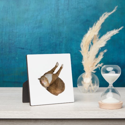 Plaque Photo Upside-Down Sunshine (Insitu)