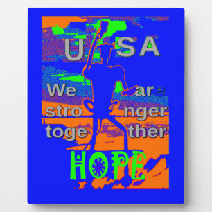 Plaque Photo USA - Une Tapisserie patriotique