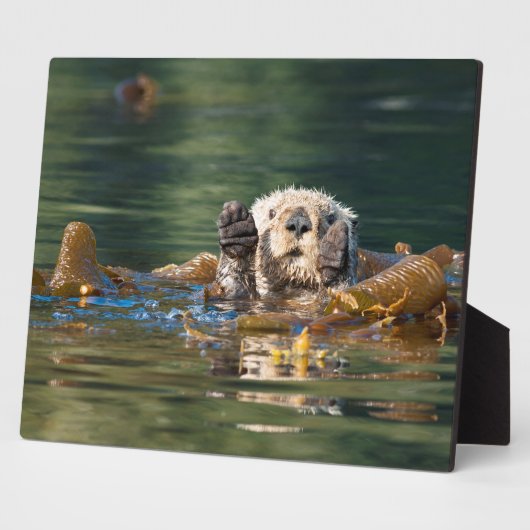 Plaque Photo Vague Louter de mer (Côté)