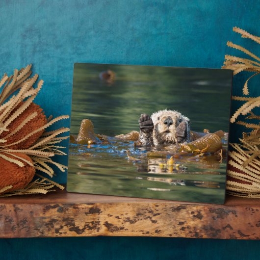 Plaque Photo Vague Louter de mer (Côté)