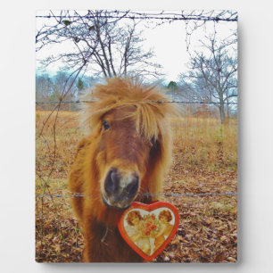 Plaque Photo Valentine Heart Miniature Brown Horse