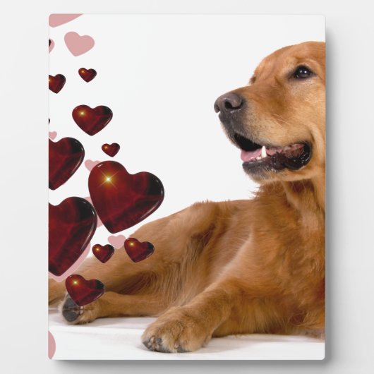 Plaque Photo Valentine Red Hearts Golden Retriever Chien (Devant)