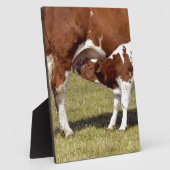 Plaque Photo Vapeur (Côté)