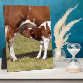 Plaque Photo Vapeur (Côté)