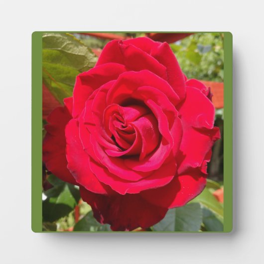 Plaque Photo Velvet rouge (Devant)