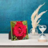 Plaque Photo Velvet rouge (Insitu)
