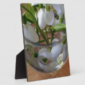 Plaque Photo verre de drops (Côté)