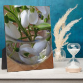 Plaque Photo verre de drops (Côté)