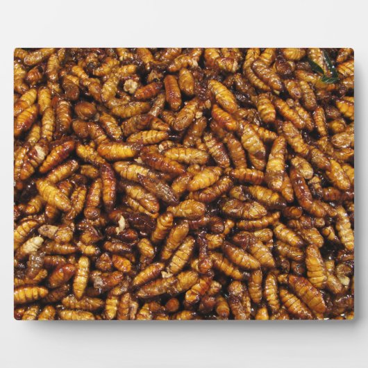 Plaque Photo Vers de soie frits ... Thai Street Food (Devant)