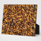 Plaque Photo Vers de soie frits ... Thai Street Food (Côté)