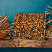 Plaque Photo Vers de soie frits ... Thai Street Food (Côté)