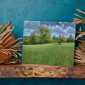 Plaque photo verte des Appalaches (Côté)