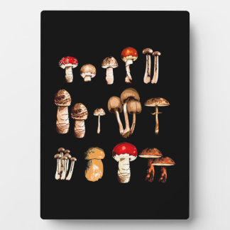 Plaque Photo Vie du champignon Picker