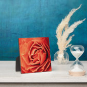 Plaque Photo vie rose (Insitu)