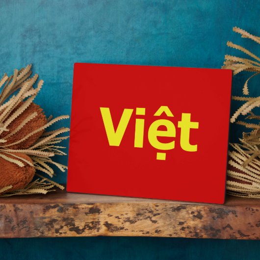 Plaque Photo Viêt (Côté)