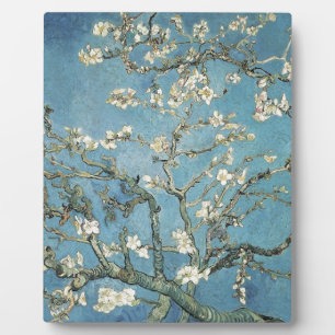 Plaque Photo Vincent van Gogh Branches d'amande en fleurs, 18