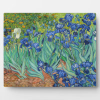 Vincent Van Gogh - Iris