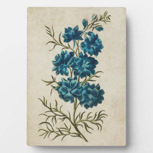 Plaque Photo Vintage floral double larkspur