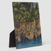 Plaque Photo Vintage Retro Florida Cypress Gardens (Côté)