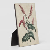 Plaque Photo Vintage végétal Persicaria (Côté)