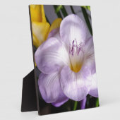 Plaque Photo violet freesia (Côté)