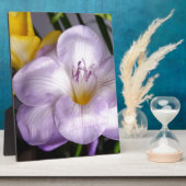 Plaque Photo violet freesia (Côté)