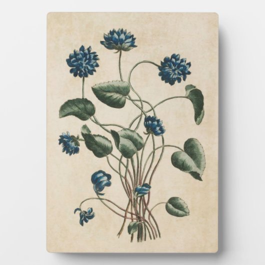 Plaque Photo Violets floraux vintages (Devant)