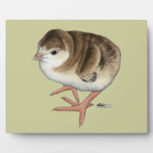 Plaque Photo Volet rouge Bourbon Turquie