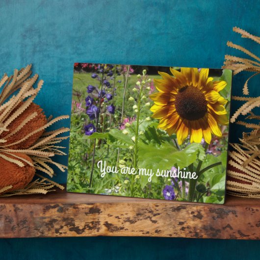 Plaque Photo Vous Êtes Mon Soleil (Côté)