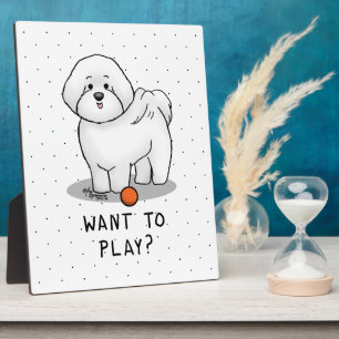 Plaque Photo Vous voulez jouer ? Bichon Frise Chien avec balle 
