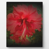 Plaque Photo Vraiment rouge (Devant)