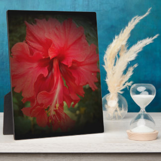 Plaque Photo Vraiment rouge