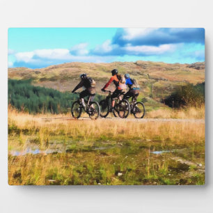 PLAQUE PHOTO VTT