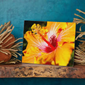 Plaque Photo Vue latérale de l'Hibiscus orange (Côté)