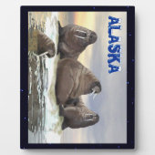 Plaque Photo Walrus - Quatre frères (Devant)