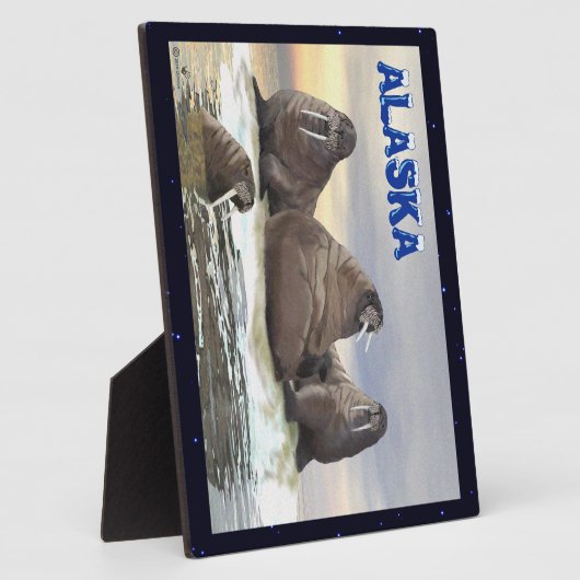 Plaque Photo Walrus - Quatre frères (Côté)