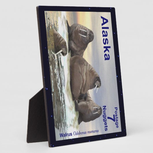 Plaque Photo Walrus - Quatre frères (Côté)