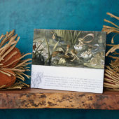 Plaque Photo Water-Lilies and Water Fairies, illustration from (Côté)