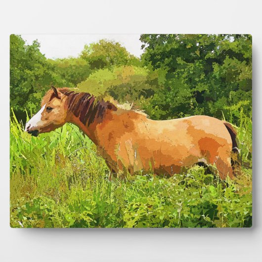 PLAQUE PHOTO WELSH PONY (Devant)