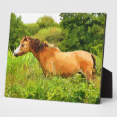 PLAQUE PHOTO WELSH PONY (Côté)