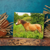 PLAQUE PHOTO WELSH PONY (Côté)
