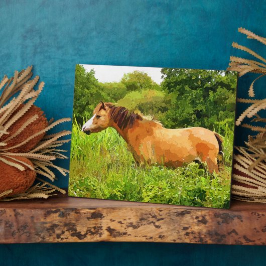 PLAQUE PHOTO WELSH PONY (Côté)