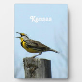 Plaque Photo Western Meadowlark (Devant)