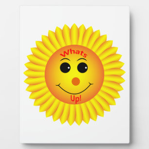 Plaque Photo Whats Up !