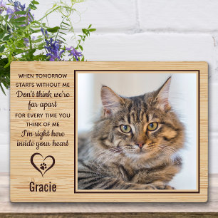Plaque Photo When Tomorrow Starts Without Me Cat Memorial Photo