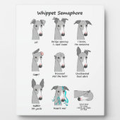 Plaque Photo Whippet Semaphore (Devant)
