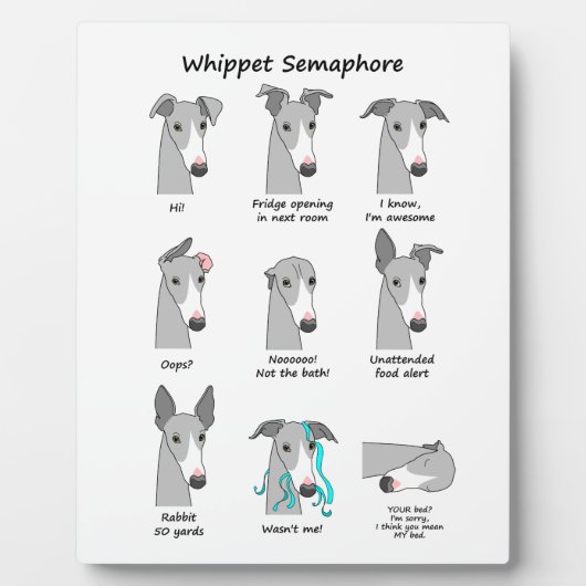 Plaque Photo Whippet Semaphore (Devant)
