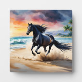 Plaque Photo Wild black stallion galloping (Devant)